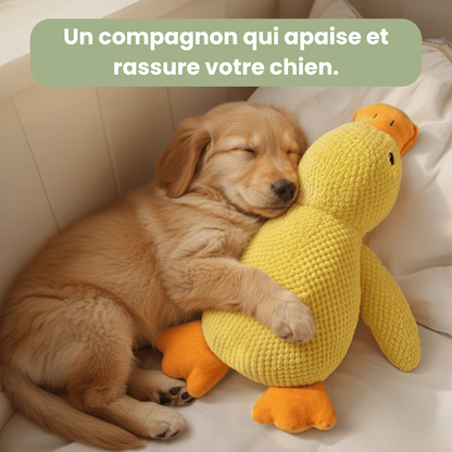 Trezio™ – Le Canard Anti-Stress Que Tous Les Chiens Adorent
