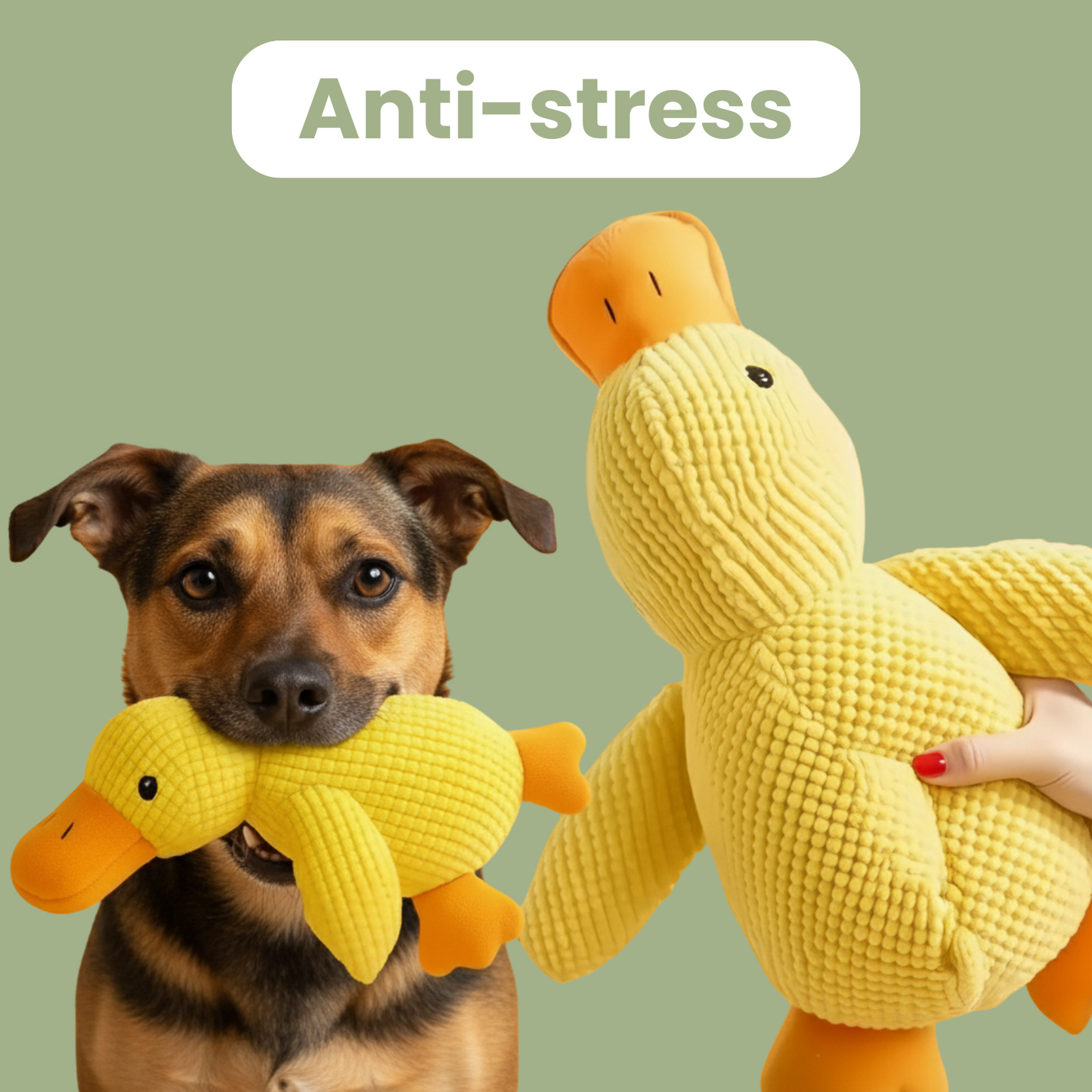 Trezio™ – Le Canard Anti-Stress Que Tous Les Chiens Adorent