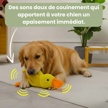 Trezio™ – Le Canard Anti-Stress Que Tous Les Chiens Adorent