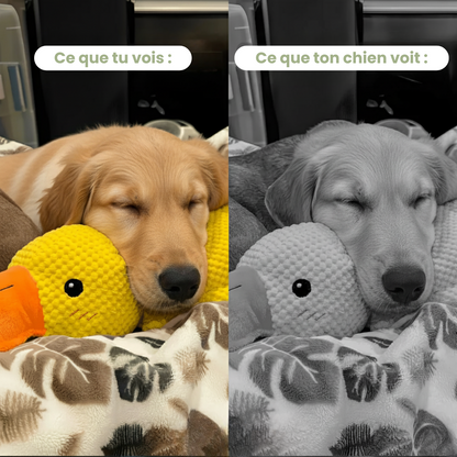 Trezio™ – Le Canard Anti-Stress Que Tous Les Chiens Adorent